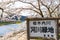 Hinokinai River riverbank in springtime cherry blossom season sunny day