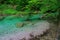 Hintersee a mountain lake with magically beautiful blue water green plants and trees