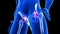 Hip Pain close-up illustration. Blue Human Anatomy Body 3D Scan render on black background