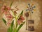 Hippeastrum amaryllis Butterfly Group