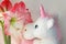 Hippeastrum flowers and a unicorn doll