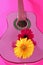 Hippie flower yellow pink gerbera on guitar