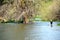 Hippo with cormorant, Lake Naivasha