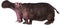 Hippo, Hippopotamus, Wildlife Animal, Isolated, Attack