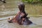 Hippo opening huge mouth in water