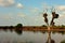 A hippo pool in the Kruger Park