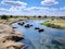 Hippo pool in serengeti national Savanna and safari