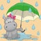 Hippo with umbrella