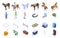 Hippodrome icons set isometric vector. Horse track