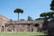 Hippodrome Stadium of Domitian at Palatine hill in Rome. Palatino Roma.