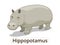 Hippopotamus african savannah animal cartoon