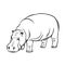 Hippopotamus animal icon
