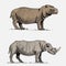 Hippopotamus and black or white rhinoceros hand drawn, engraved wild animals in vintage or retro style, african zoology