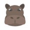 Hippopotamus Face