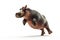 a hippopotamus jumping on isolate white background