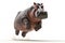 a hippopotamus jumping on isolate white background