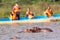 Hippopotamus in Lake Naivasha against boat with tourists. Tourism in Kenya