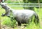 Hippopotamus- life size model, at Forest Park Zoo in Springfield, ma