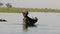 Hippopotamus Open Wide Mouth in Chobe river, Botswana. Yawning wide open.