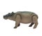 Hippopotamus toy isolated on white background.