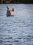 Hippopotamus in the waters of the Okavango Rover of Botswana