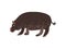 Hippopotamus Wild Exotic African Animal Vector Illustration