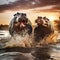 Hippos Fighting in Africa