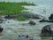 hippos in a pond in africa