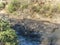 Hippos relax at a water hole in the serengeti