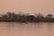 Hippos in water in okavango delta in Botswana during sunset.