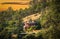 Hippy house with huge peace sign on front  on side of mountain in California with trees and sunset sky