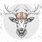 Hipster animal deer wearing a viking helmet. Hand drawing Muzzle of deer