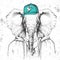 Hipster animal elephant dressed in cap like rapper. Hand drawing Muzzle of elephant