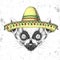 Hipster animal lemur wearing a sombrero hat. Hand drawing Muzzle of lemur