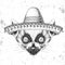 Hipster animal lemur wearing a sombrero hat. Hand drawing Muzzle of lemur