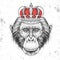 Hipster animal monkey in crown. Hand drawing Muzzle of chimpanzee