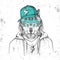 Hipster animal wolf dressed in cap like rapper. Hand drawing Muzzle of wolf