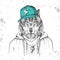 Hipster animal wolf dressed in cap like rapper. Hand drawing Muzzle of wolf