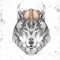 Hipster animal wolf wearing a viking helmet. Hand drawing Muzzle of wolf