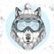 Hipster animal wolf in winter hat and snowboard goggles. Hand drawing Muzzle of wolf