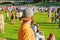 Hipster in cap happy celebrate event fest or festival. Summer fest. Man bearded hipster in front of crowd. Open air