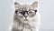 Hipster Cat with Spectacles