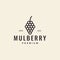 Hipster fruit mulberry logo design