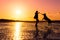 Hipster girl playing with dog at a beach during sunset, silhouettes