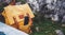 Hipster hiker tourist yellow backpack and mobile phone, map on background green grass nature in mountain, blurred panoramic land