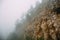 Hipster landscape, mountains in low lying clouds or fog, mist, haze, yellow rocks with trees in foggy morning