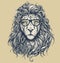 Hipster lion vector illustration. Glasses separated.