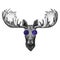 Hipster moose, elk wearing glasses Image for tattoo, logo, emblem, badge design