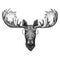 Hipster moose, elk wearing glasses Image for tattoo, logo, emblem, badge design