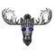 Hipster moose, elk wearing knitted hat and glasses Image for tattoo, logo, emblem, badge design